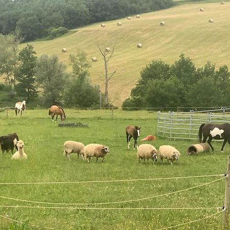 Gite A La Ferme Avec Jacuzzi Et Piscine Chauffee Saint-Felix-de-Tournegat Bagian luar foto