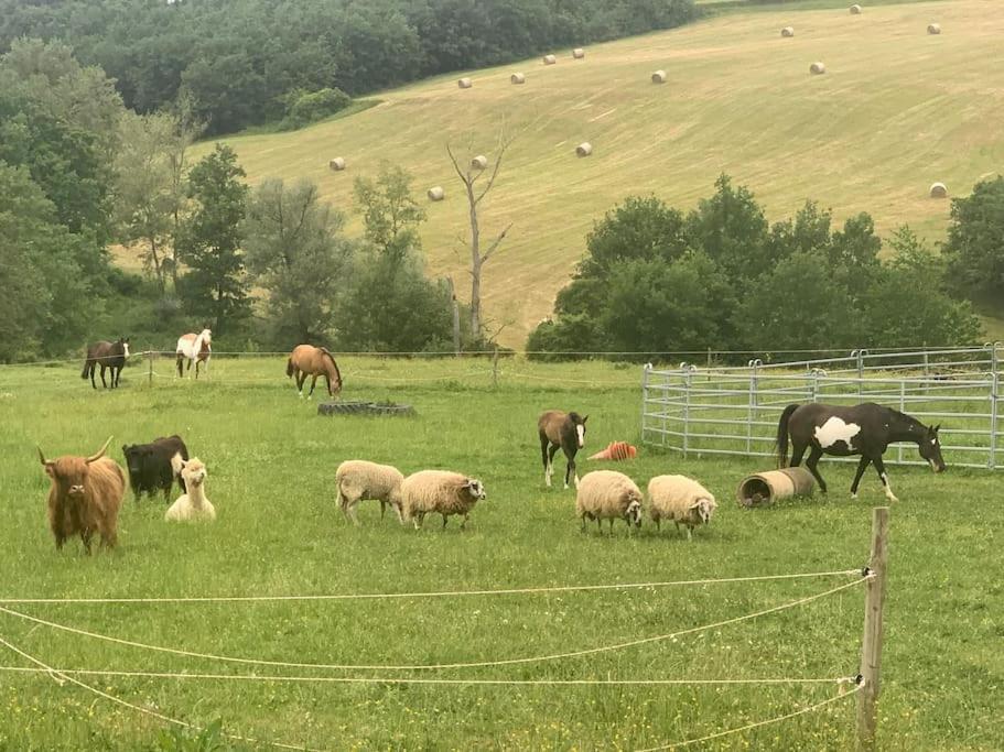 Gite A La Ferme Avec Jacuzzi Et Piscine Chauffee Saint-Felix-de-Tournegat Bagian luar foto